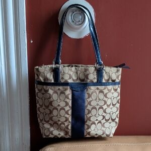 Stylish Tan and Blue Tote Bag